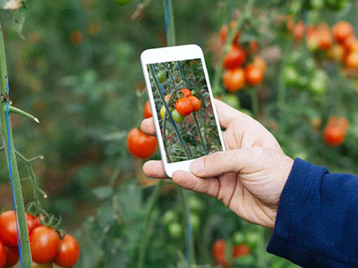 农业开发项目咨询